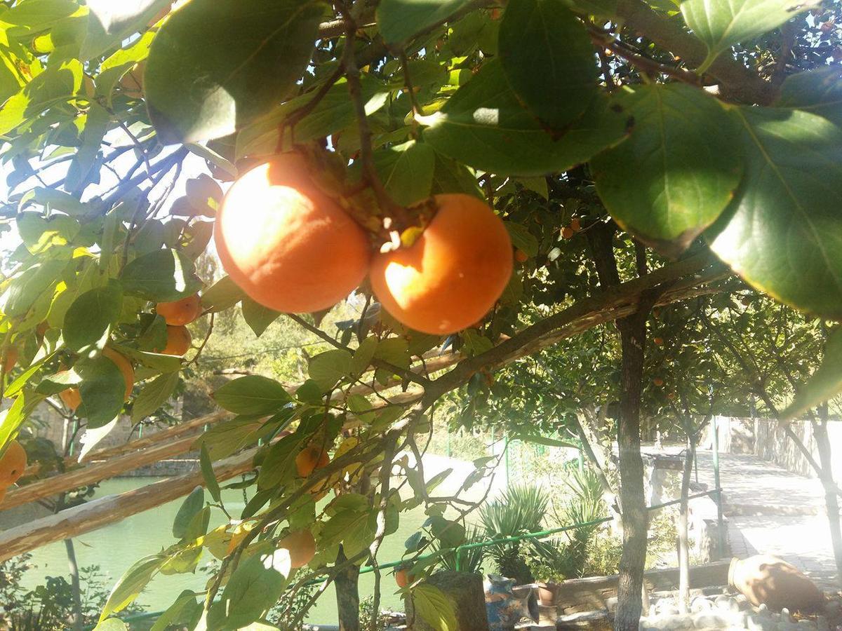 Amiran'S Lake Ξενοδοχείο Τυφλίδα Εξωτερικό φωτογραφία